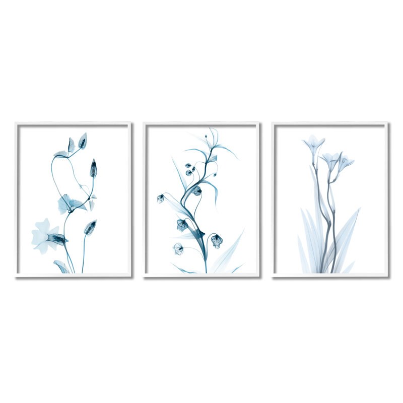 Aesthetic Minimalist Blue Botanical Floral Design par Albert Koetsier - Ensemble de 3 peintures, H 20 po x l 16 po x P 1,5 po
