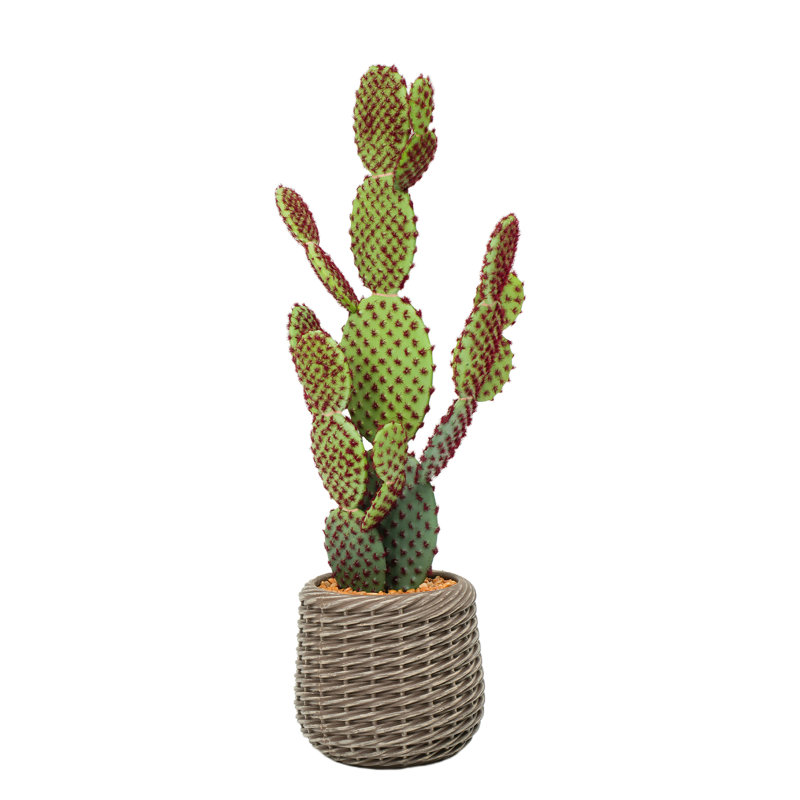 Cactus artificiel 28 po (paquet de 2) en pot EVA - Faux plantes de cactus pour la maison et le bureau