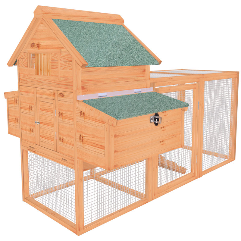 Poulailler de 41 pieds carrés Evaney pour 8 poulets