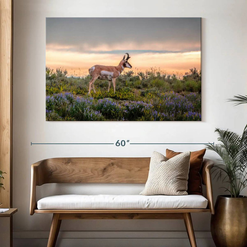Brampt Pronghorn Antelope, 34" H x 51" W