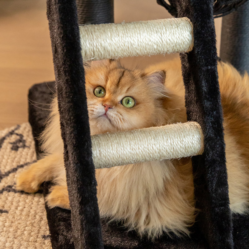 40.9" Nightfall Cat Tree with kll'Sisal Scratching Posts, Black Cat Tower with Hammock, Spooky Cat Tree for Halloween Cats