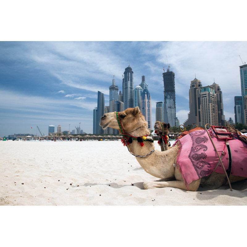 Camel Resting Outside A City by Cherkas - Wrapped Canvas Print, 81cm H x 122cm W