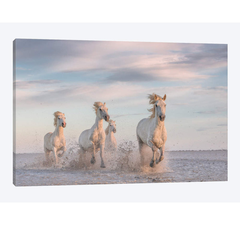 «White Angels of Camargue XXXV», impression sur toile, H 26 po x l 40 po x P 1,5 po, Toile tendue, Pas de tapis