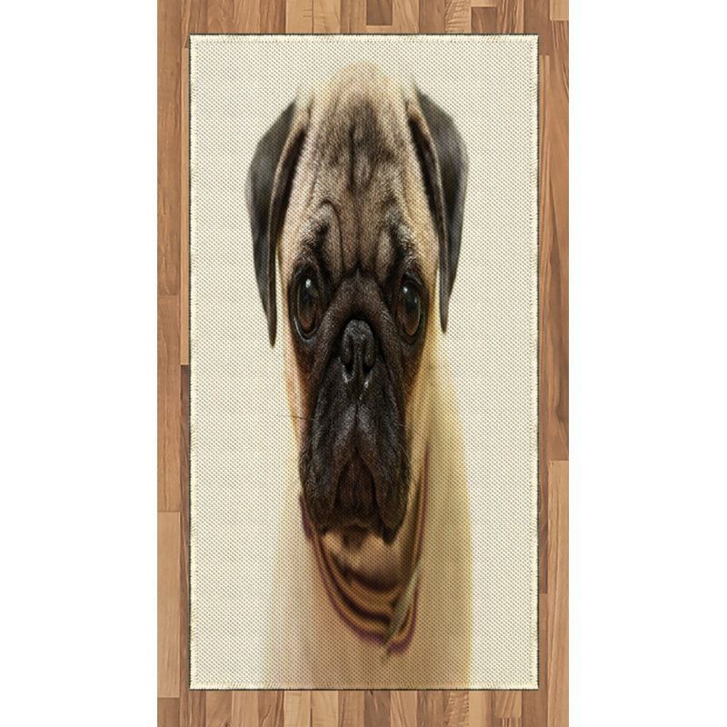 Pug High Density Long Fiber Poly Threads Decorative Area Rug Carpet, Rectangle 2'7" x 5'
