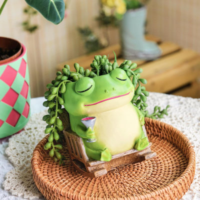 Pots de plantes d'intérieur uniques avec trou de drainage
