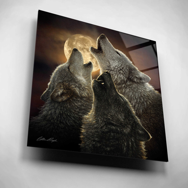 «Wolf Trinity» par Collin Bogle, art mural en verre acrylique, H 12 po x l 12 po x P 0,13 po