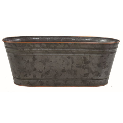 Gris avec pot de fleurs en cuivre