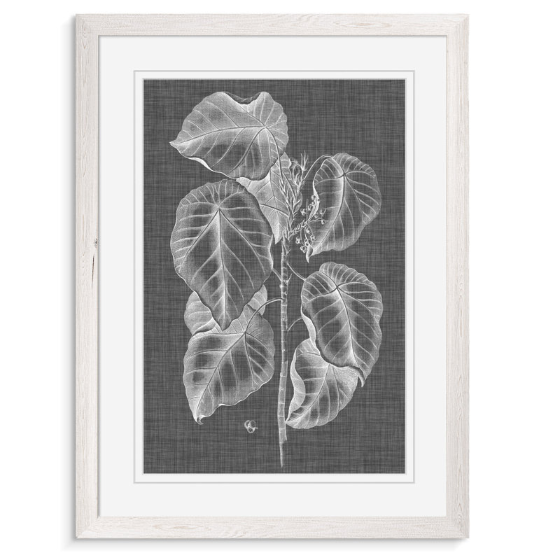 « graphique feuillage iv » par paul cezanne-impression sur cadre photo, H 30 po x l 22 po x P 1,25 po