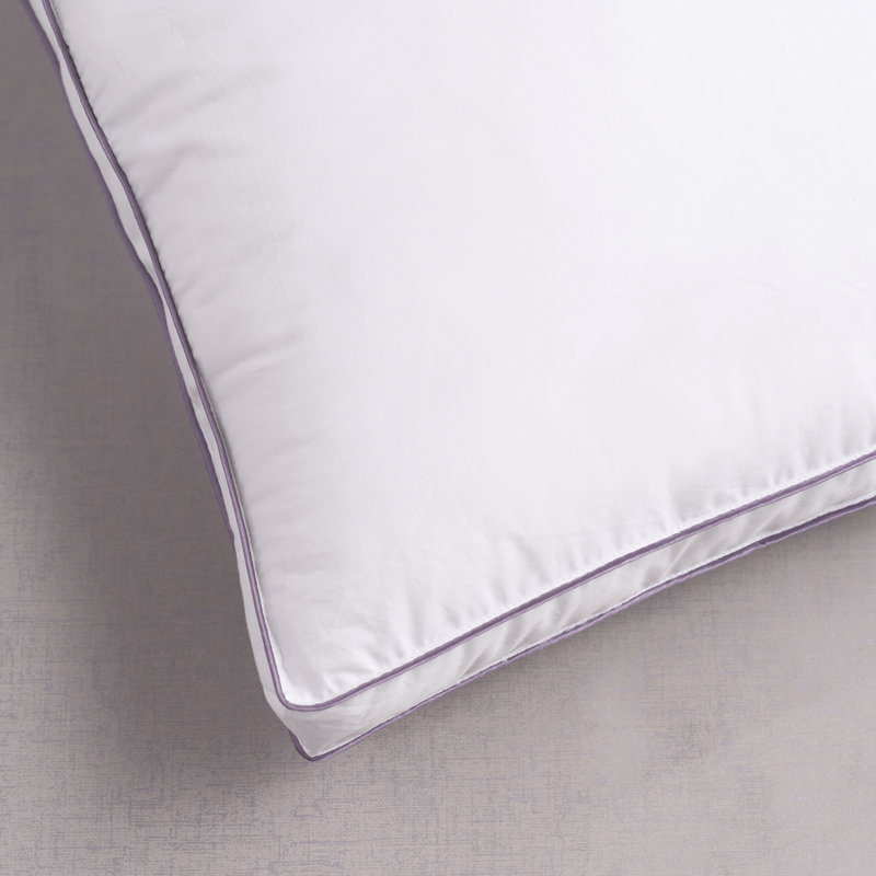 Wooten Down Alternative Medium Pillow, Standard