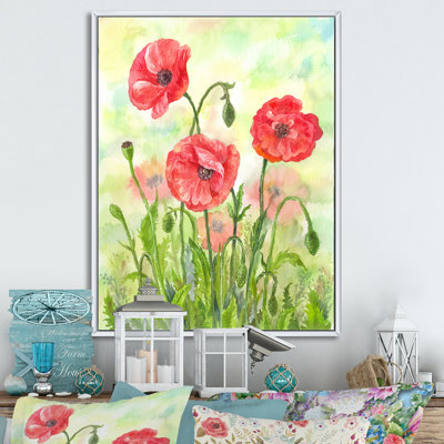 Floraison des coquelicots rouges - activé