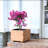 15.7"W Wooden Planter Box -122764509