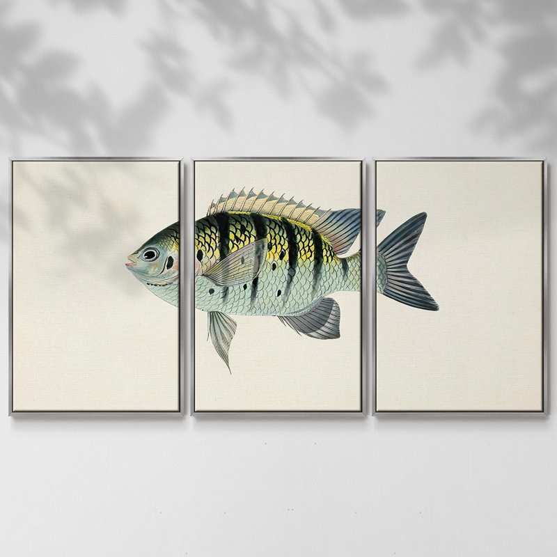 Collection de poissons tropicaux VI 3 pièces, H 40 po x l 78 po x P 2 po, Argent