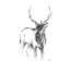 Art sur toile tendue par Millhan Pines, Harper, Ethan-680648256