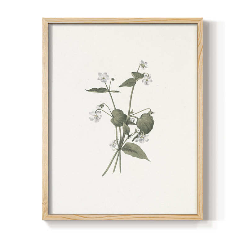 «Vintage Floral Print», impression encadrée CCV - bois massif, Naturel, H 21 po x l 17 po