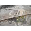 Abstract Area Rug in Black/Gray/Green/Brown-1402438315