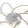 Chantily Ceiling Fan with LED Lights
