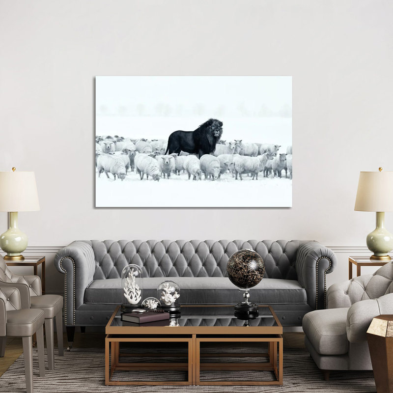 Lion parmi les moutons - Giclée sur toile tendue avec châssis, H 40 po x l 60 po