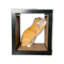 Perchoir pour chat 24 po 24 po-1525017226