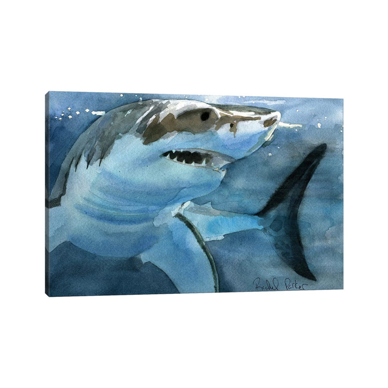 Sharky by Rachel Parker - Painting on Canvas, Wrapped Canvas, 45.72 cm H x 66.04 cm W x 1.91 cm D