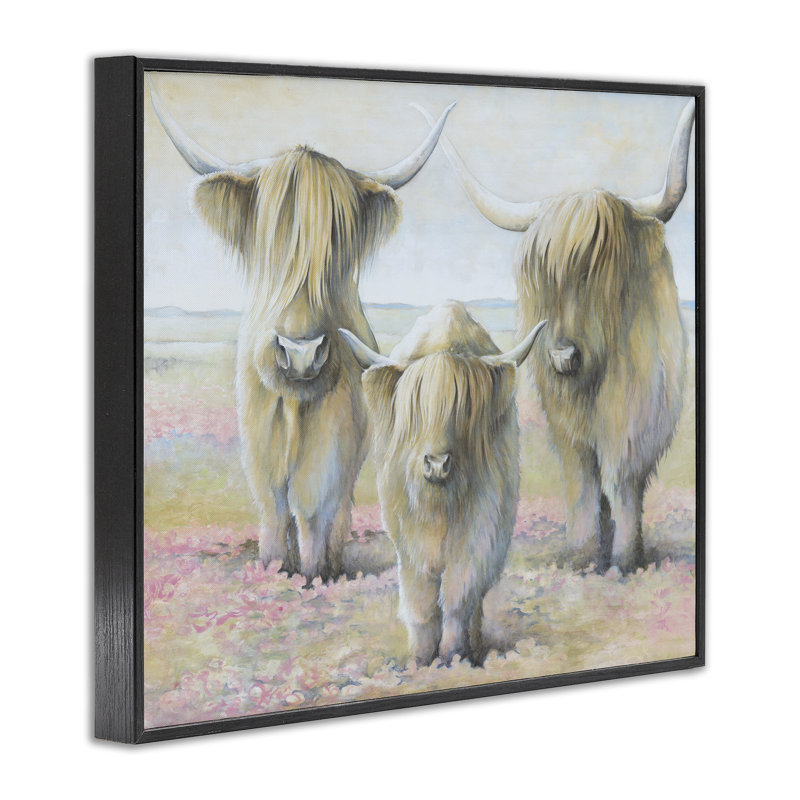 Trio de bovins doux par estampe numérique par White Ladder, H 11 po x l 14 po, Giclée encadrée noir minuit