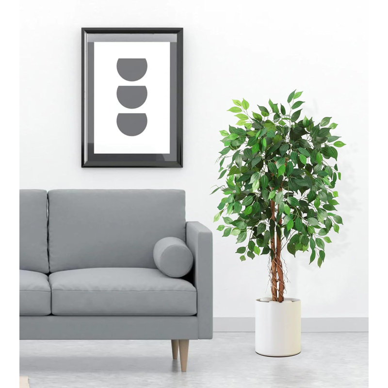 Arrangement