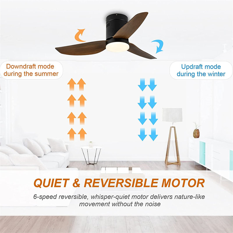 Kyale 40'' Ceiling Fan with LED Lights