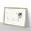 Cat Resting by Jean Bernard - Picture Frame Graphic Art Print-55513681-55513679