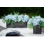 Centres de table mixtes en pot-239678552-239678559