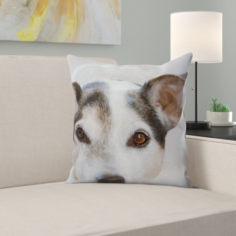 Coussin pour chien