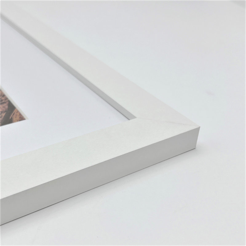 Modern MDF Picture Frame White 16 x 20 inches Wall Mount Display, Pack of 2
