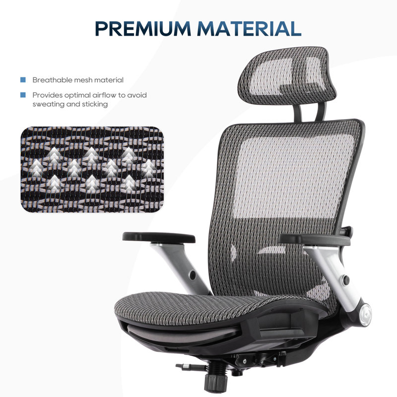 Wade Logan Ergo Mesh Office Chair With Adjustable Lumbar Support