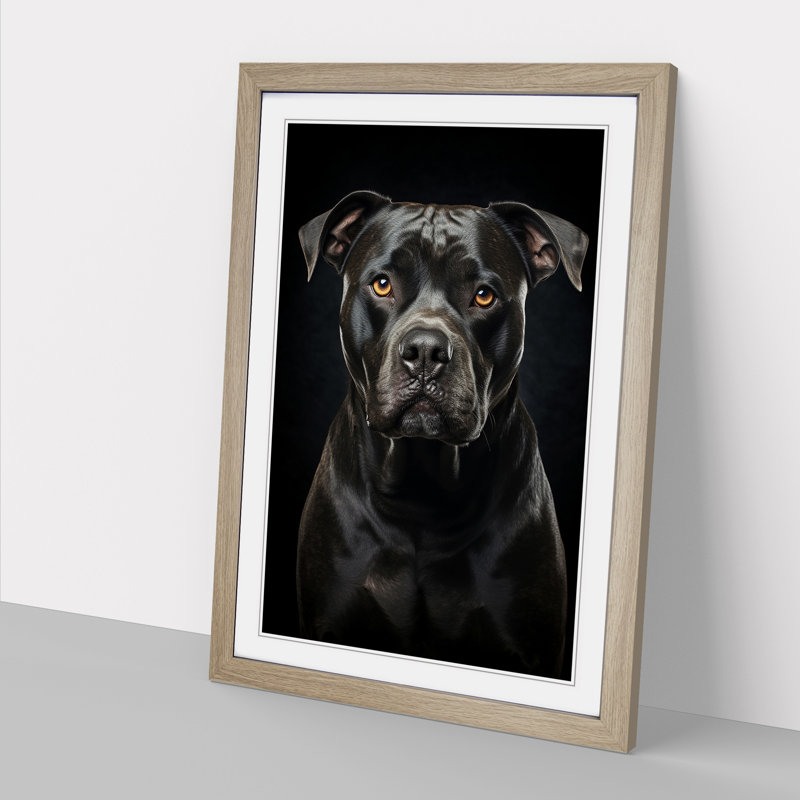 Staffordshire Bull Terrier Tachisme - Framed Print, Oak, 46cm H x 34cm W x 2cm D