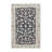 Clayne Oriental Indoor Rug