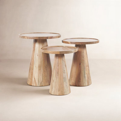 Jean 18" Acacia Nesting End Tables