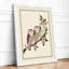 Perched Together Botanical - Framed Print-1852576670-1852576671