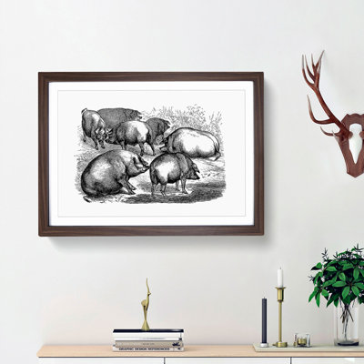 Pigs Illustration in Black and White - Picture Frame Drawing Print