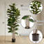 Marci Artificial Fiddle Leaf Fig Tree - 6FT Fake Plant with Pot and Natural Feel Leaves for Home or Office Decor - Artificial Plants Indoor-1023438307
