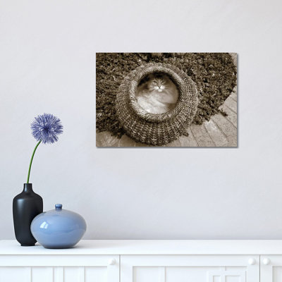 Cat In A Basket by Jim Dratfield - Wrapped Canvas Print