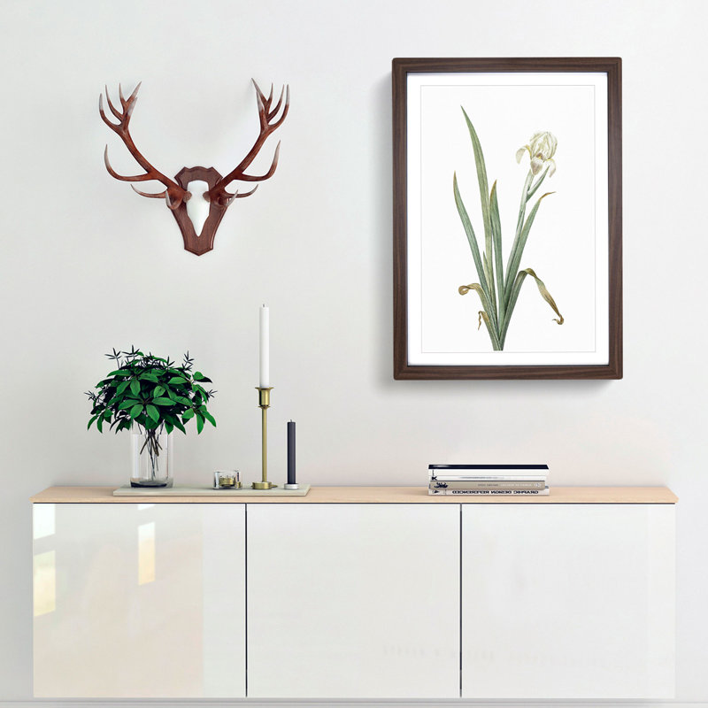 Crimean Iris Flower by Pierre-Joseph Redoute - Picture Frame Painting Print, 48cm H x 36cm W x 2cm D, Walnut Framed