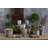 Caines Pot Planter-1488301709