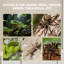 Lizard, Snake, Turtle Modular Habitat-121362467