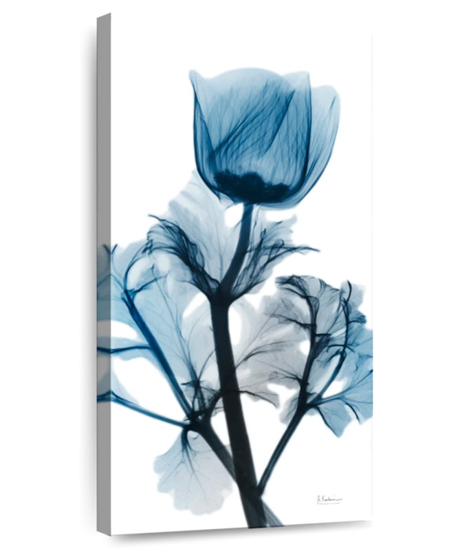 Sapphire Gleam II, 24" H x 12" W