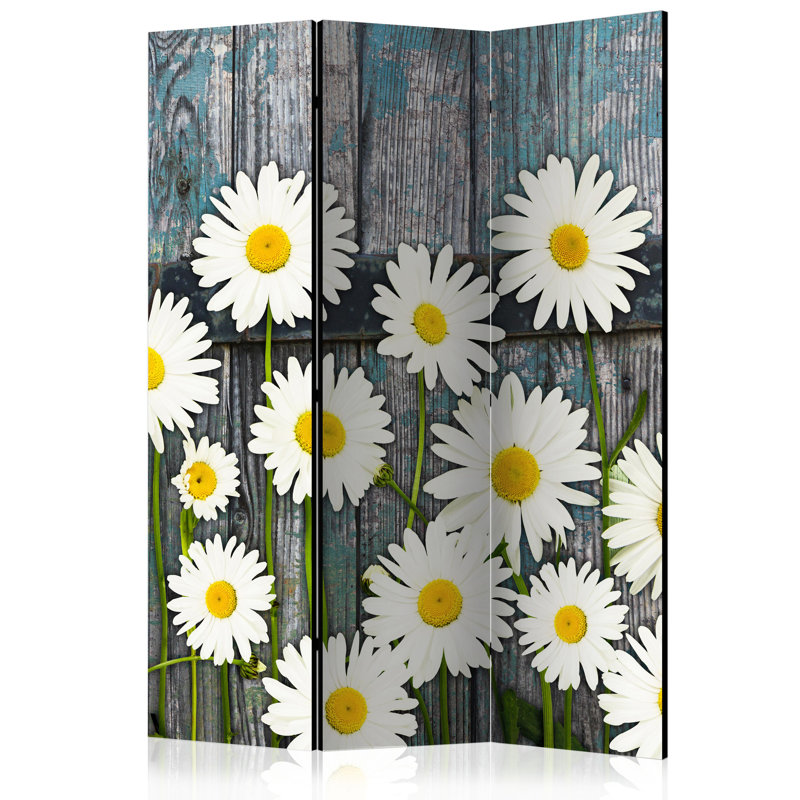 Crescio 172cm H Folding Room Divider, 3
