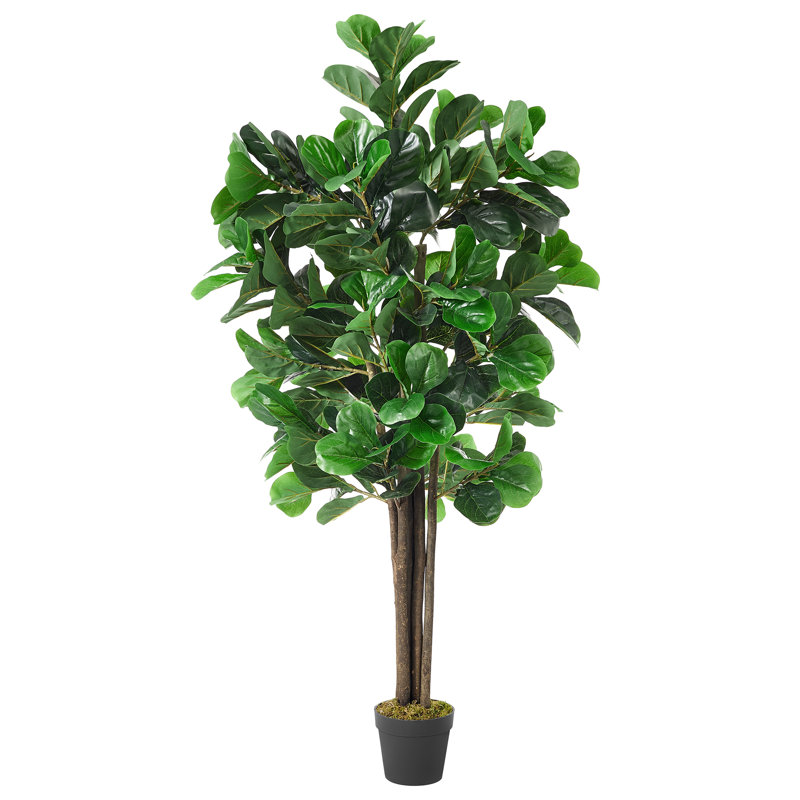 Faux Fiddle Leaf Fig Tree in Pot, 71"H