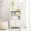 Lyndora Bathroom Cabinet