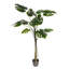 Arbre de Philodendron artificiel 54 po