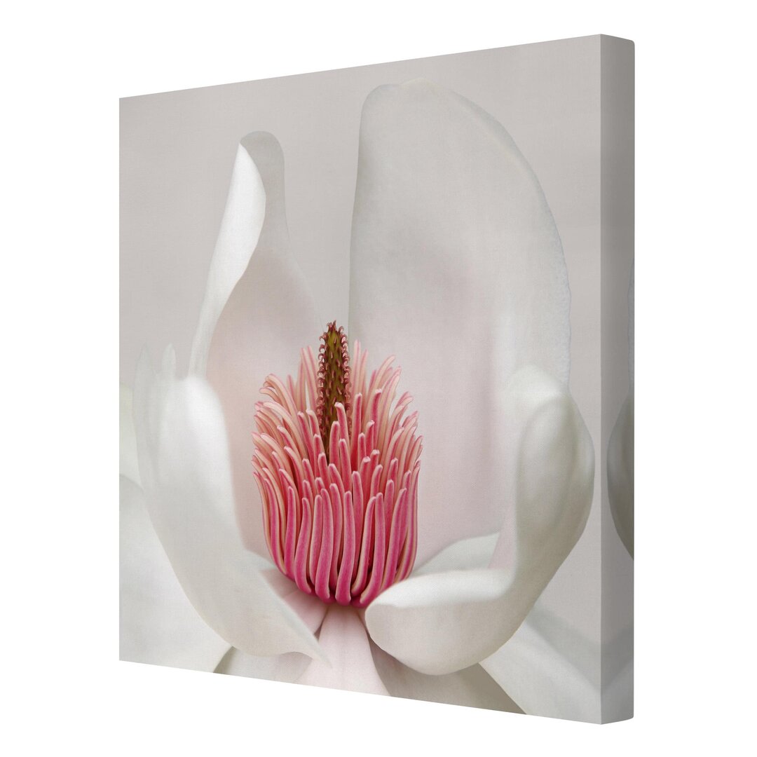 Leinwandbild Magnolia