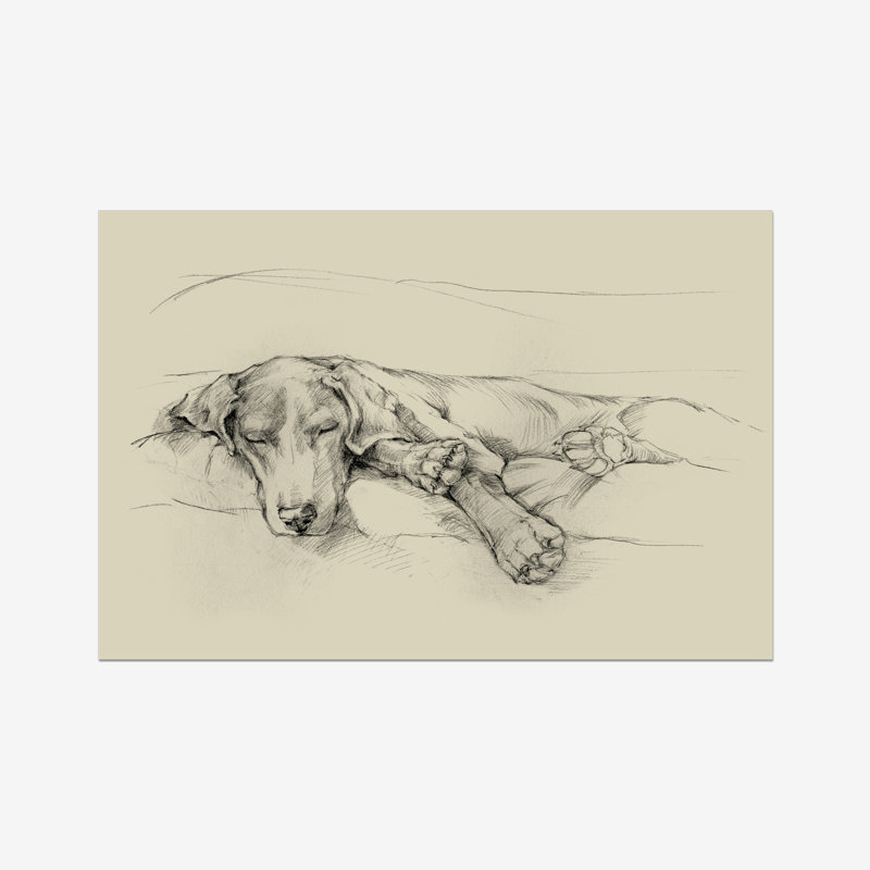 Dog Days II by Ethan Harper - Print, Wrapped Canvas, 61cm H x 91cm W