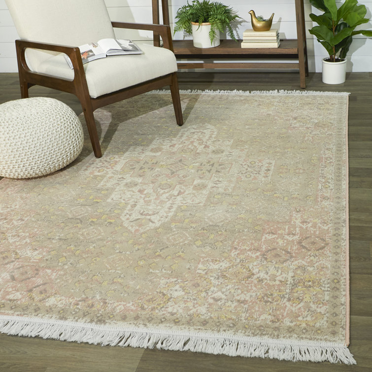Hyldeburg Oriental Recycled Cotton Area Rug