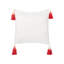 Delia Square Throw Cushion